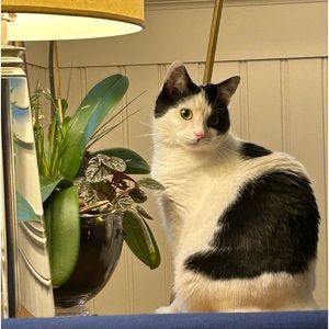 Meet your Posher, Hannah